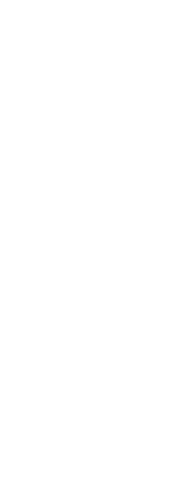 庄内の